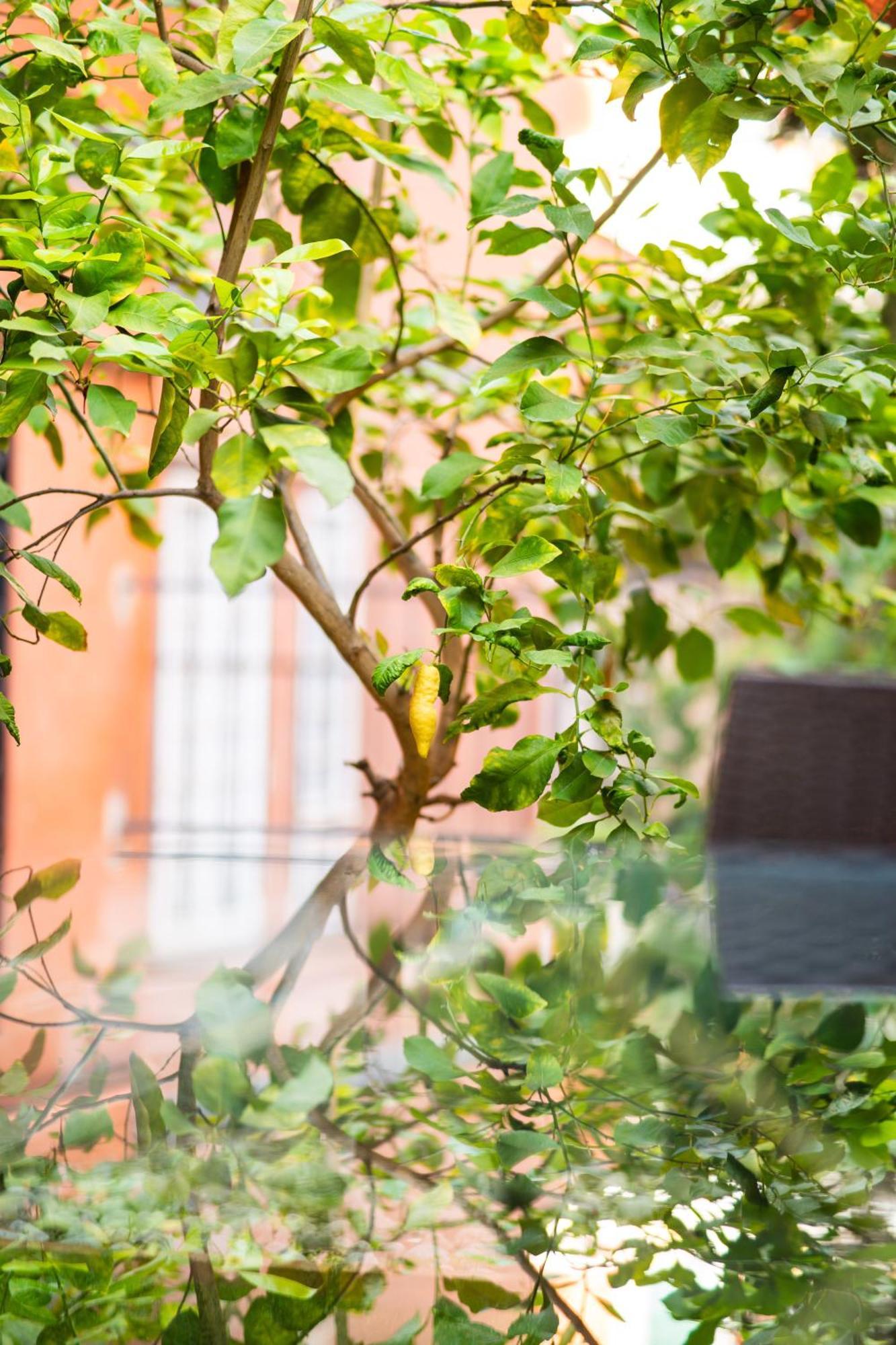 Aurea Vaticano Casa vacanze Roma